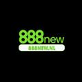 avatar for 888newnl