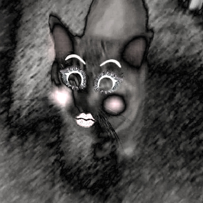 avatar for t3rr0rz0n3@xarxa.cloud