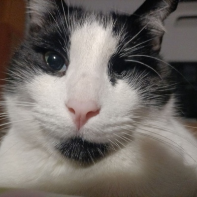 avatar for TOrroella@social.anartist.org