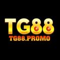 avatar for tg88promo