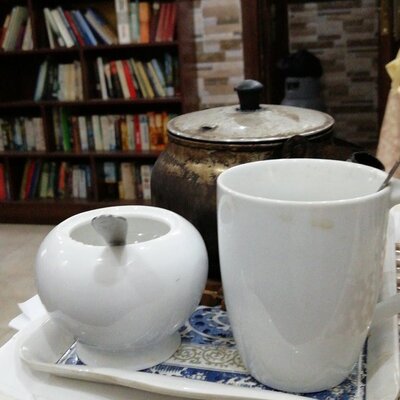 avatar for SusanneDoering@zirk.us