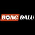 avatar for bongdaluschool