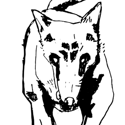 avatar for itzar@mastodon.eus