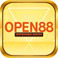 avatar for open88skin