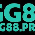 avatar for gg88pro