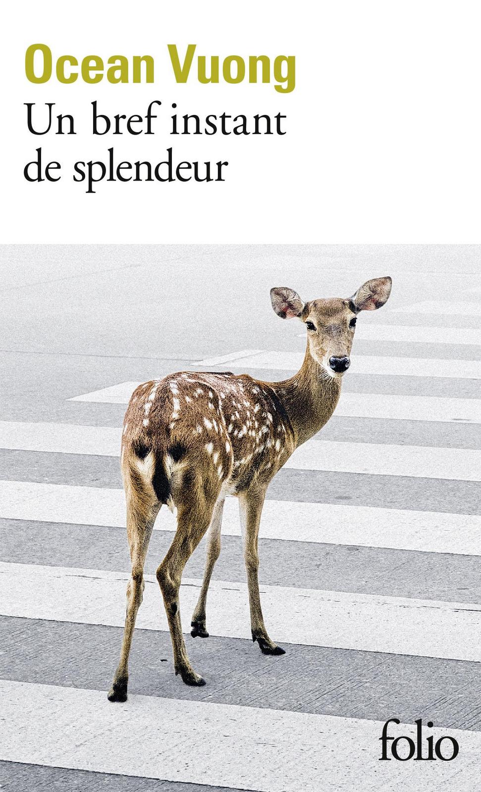 Ocean Vuong: Un bref instant de splendeur (French language, 2022, Éditions Gallimard)