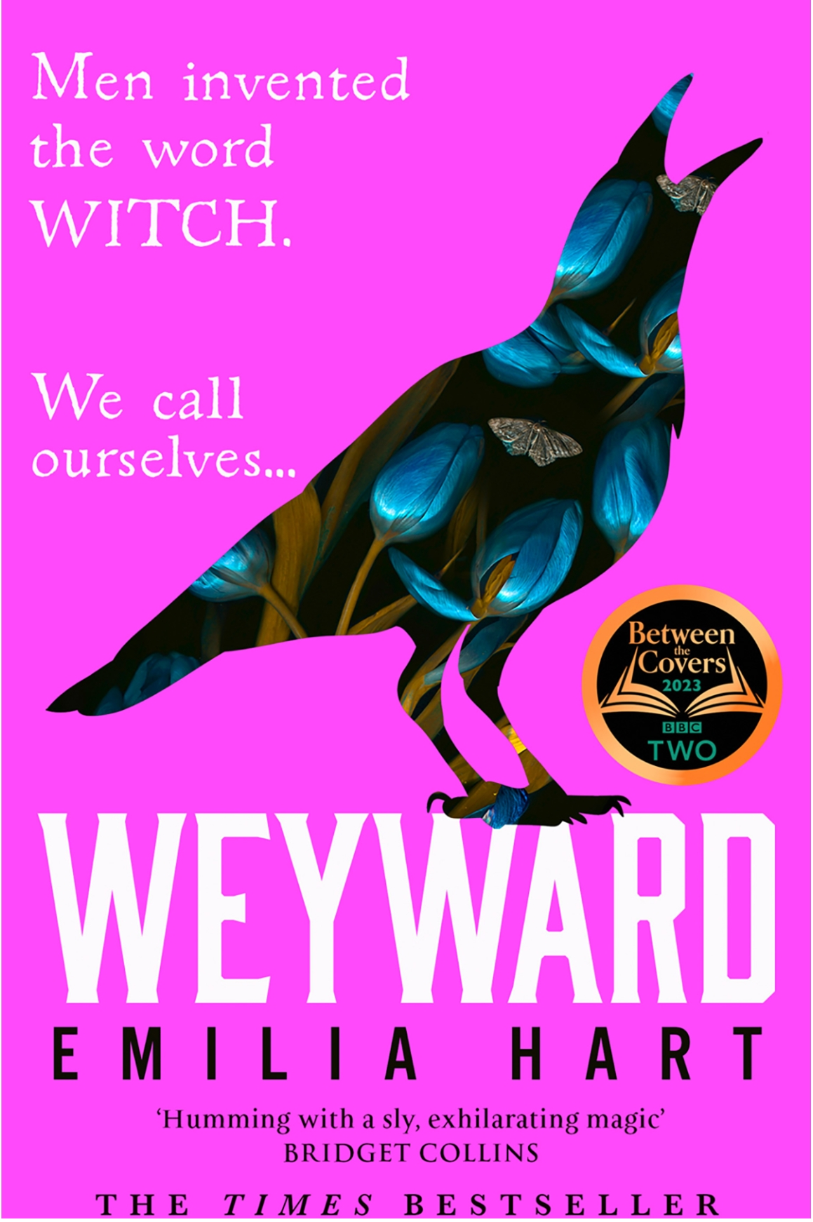 Emilia Hart: Weyward (EBook, 2025, The Borough Press)