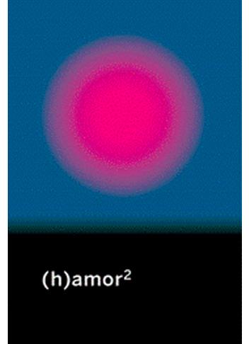 Jaron Rowan, Silvia Nanclares, Mari Luz Esteban Galarza, Marta Azparren, Nydia Pando, Ainhoa Güemes Moreno, Dora García, Gabriela Wiener, Miriam Reyes, Brigitte Vasallo, Daniel Cardoso, Irene Blanco, Sonia Tello: (h)amor 2 (Spanish language, 2015, Continta me tienes)