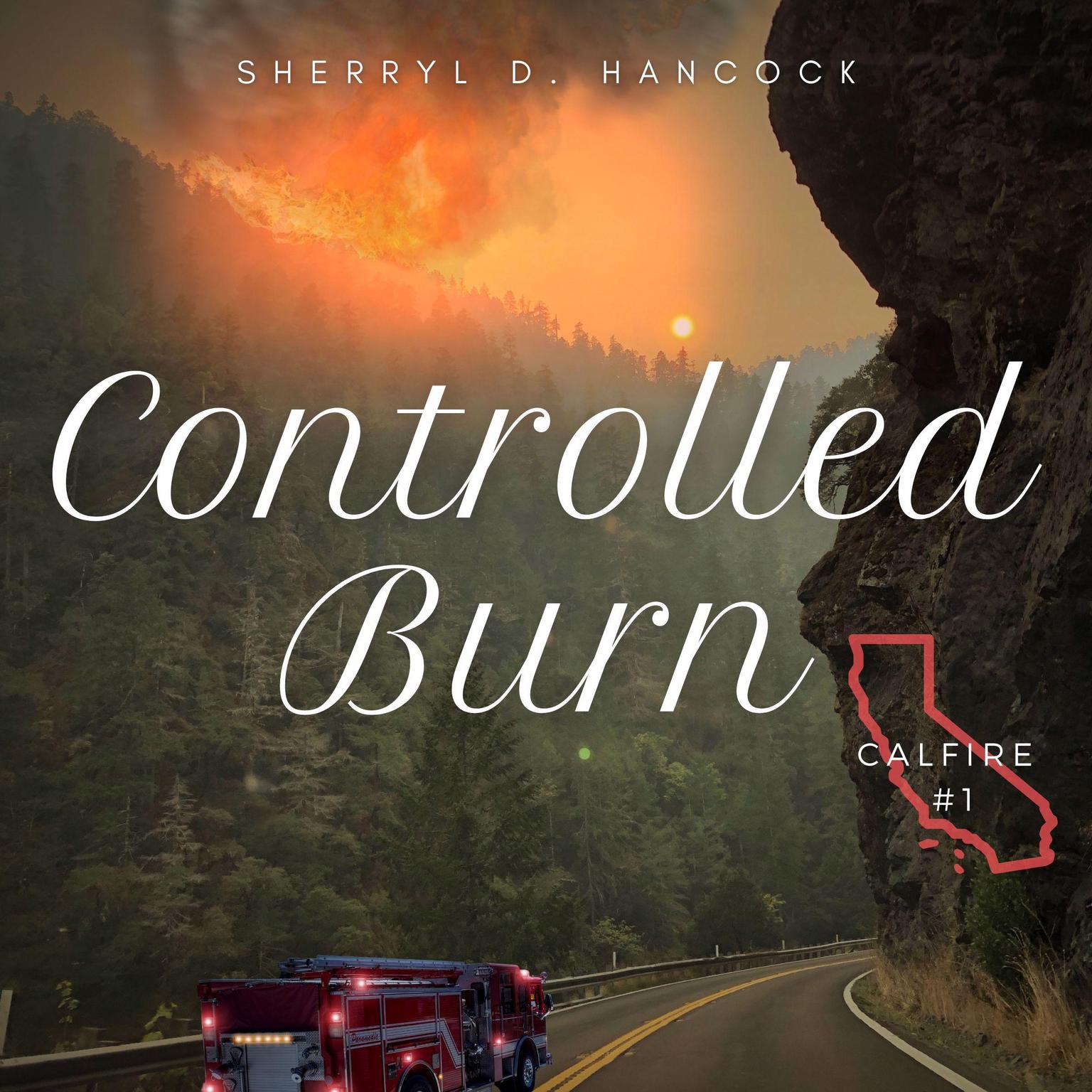 Controlled Burn (AudiobookFormat, 2021, Vulpine)