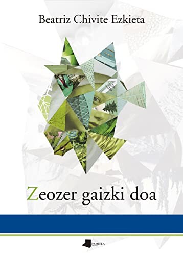 Zeozer gaizki doa (Paperback, Euskara language, 2022, Pamiela argitaletxea)