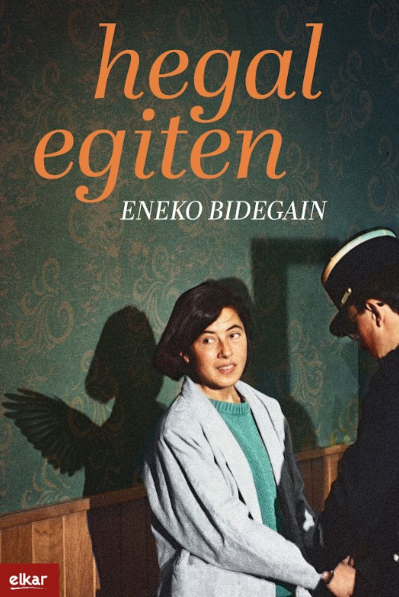 Eneko Bidegain Aire: Hegal egiten (Euskara language, 2026, Elkar)