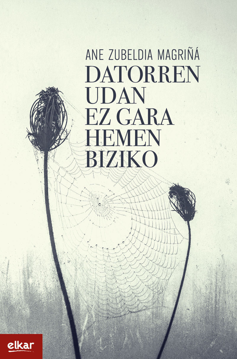 Ane Zubeldia Magriña: Datorren udan ez gara hemen biziko (Euskara language, Elkar)