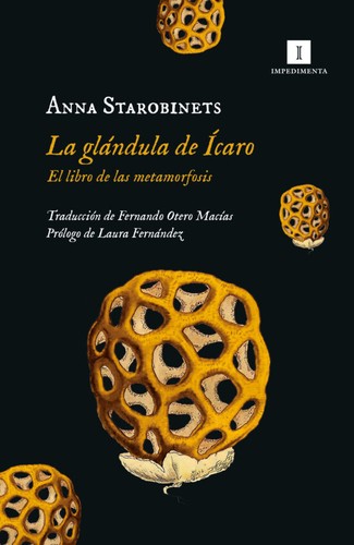 Anna Starobinets, Laura Fernández, Fernando Otero Macías: La glándula de Ícaro: el libro de las metamorfosis (Paperback, Español language, 2023, Impedimenta)