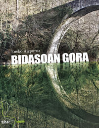 Bidasoan gora (Paperback, Euskara language, Elkar)