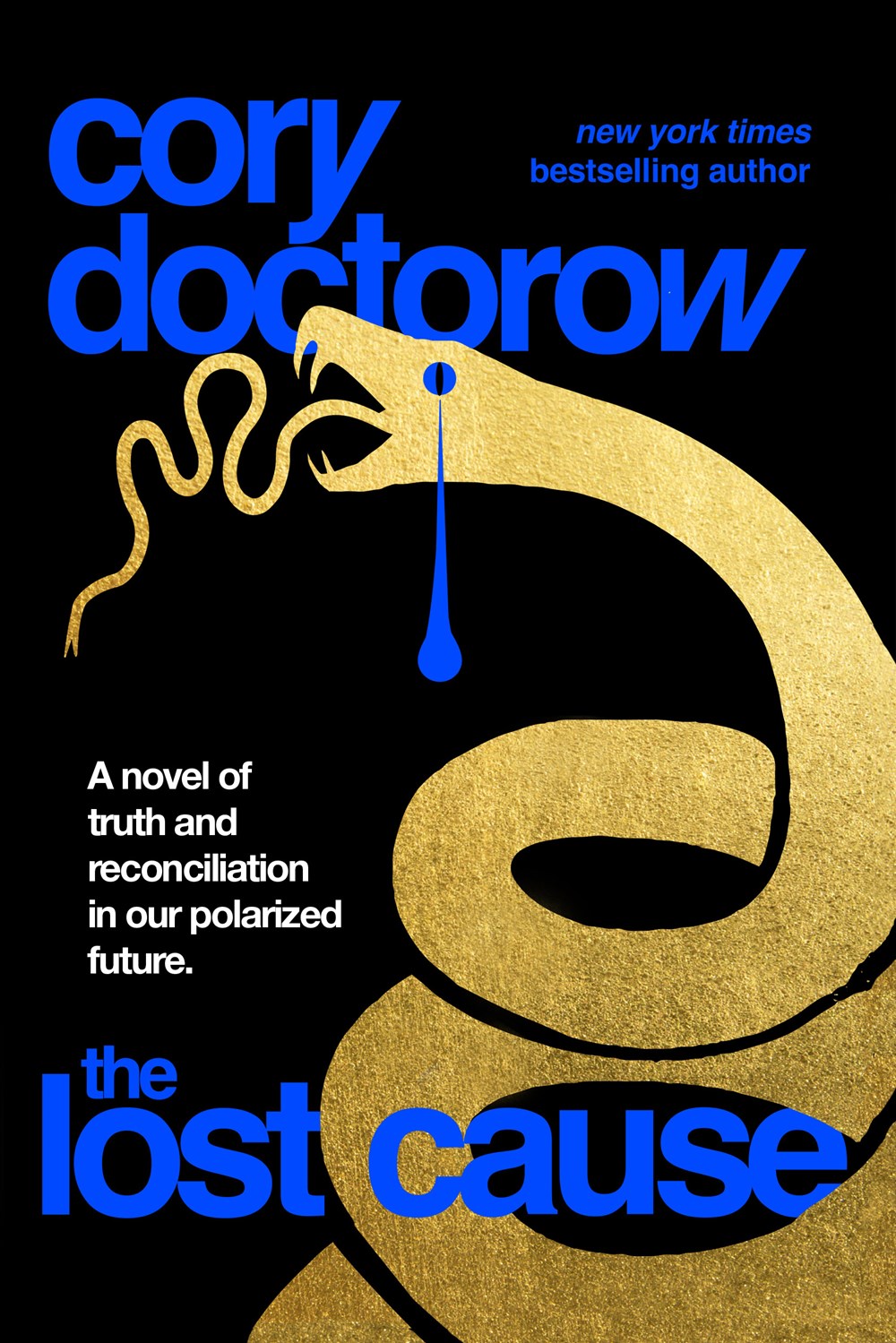 Cory Doctorow (Duplicate): The Lost Cause (Hardcover, 2023, Tor Publishing Group)