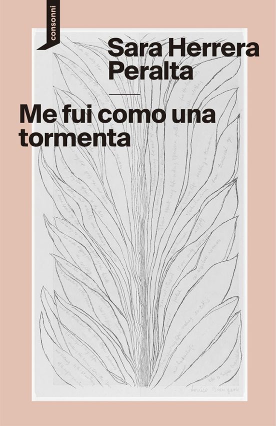 Sara Herrera Peralta: Me fui como una tormenta (Consonni)