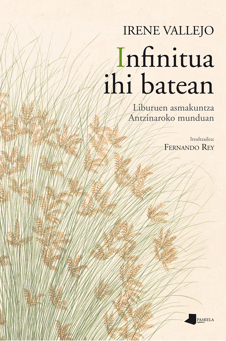 Infinitua ihi batean (Paperback, Basque language, Pamiela)