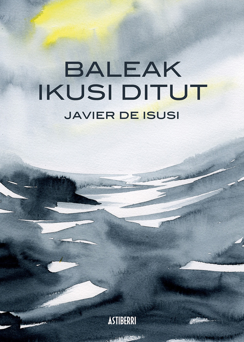 Baleak ikusi ditut (Basque language, 2014, Astiberri Ediciones)