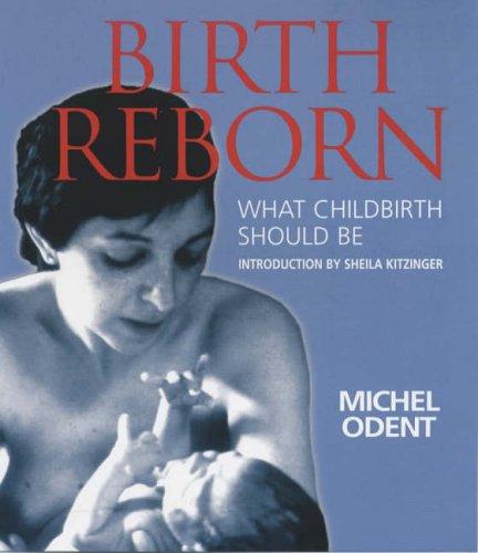 Michel Odent: Birth Reborn (Paperback, 1994, Souvenir Press Ltd)