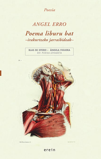 Anjel Erro: Poema liburu bat -irakurtzeko jarraibideak- (Paperback, Euskara language, Erein)