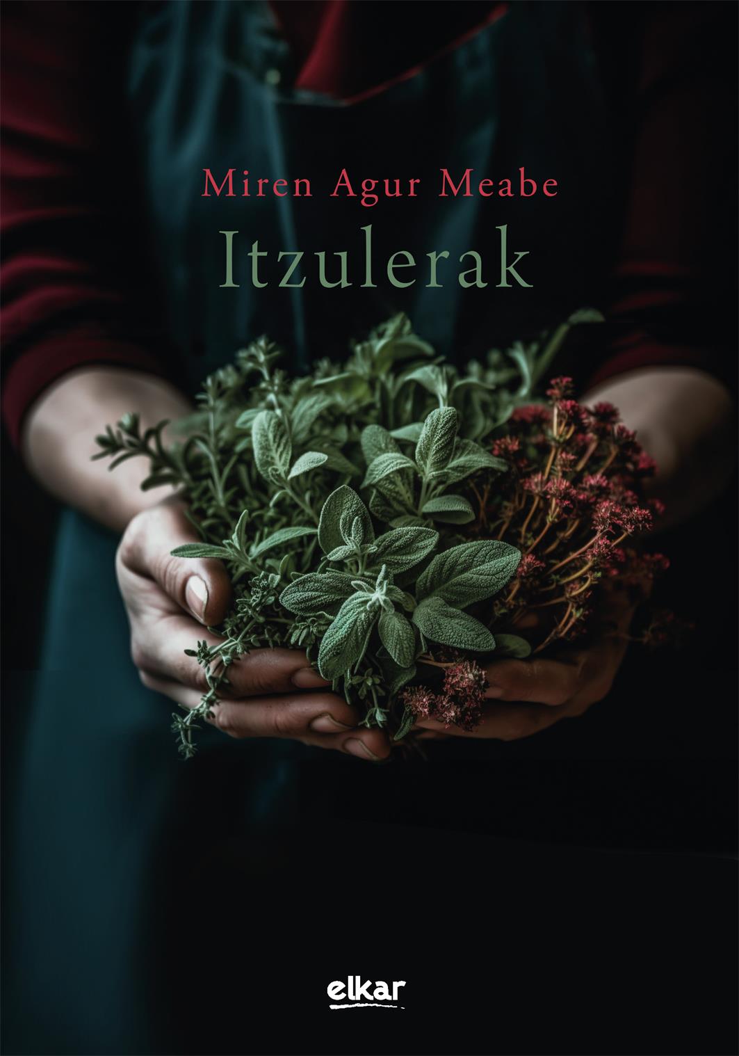 Itzulerak (Paperback, Euskara language, 2023, Elkar)