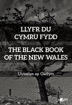 Llywelyn ap Gwilym: Llyfr du Cymru Fydd / the Black Book of the New Wales (Paperback, Galesera language, 2021, Y Lolfa)