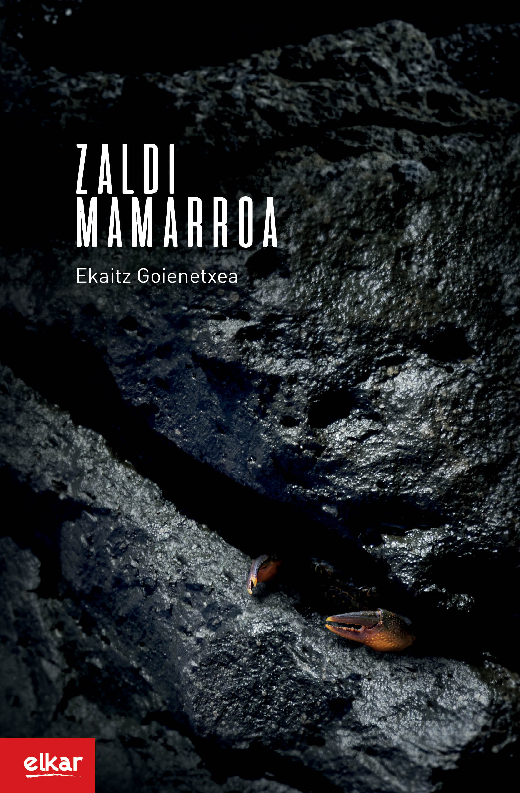 Ekaitz Goienetxea: Zaldi mamarroa (Basque language, 2018, Elkar)