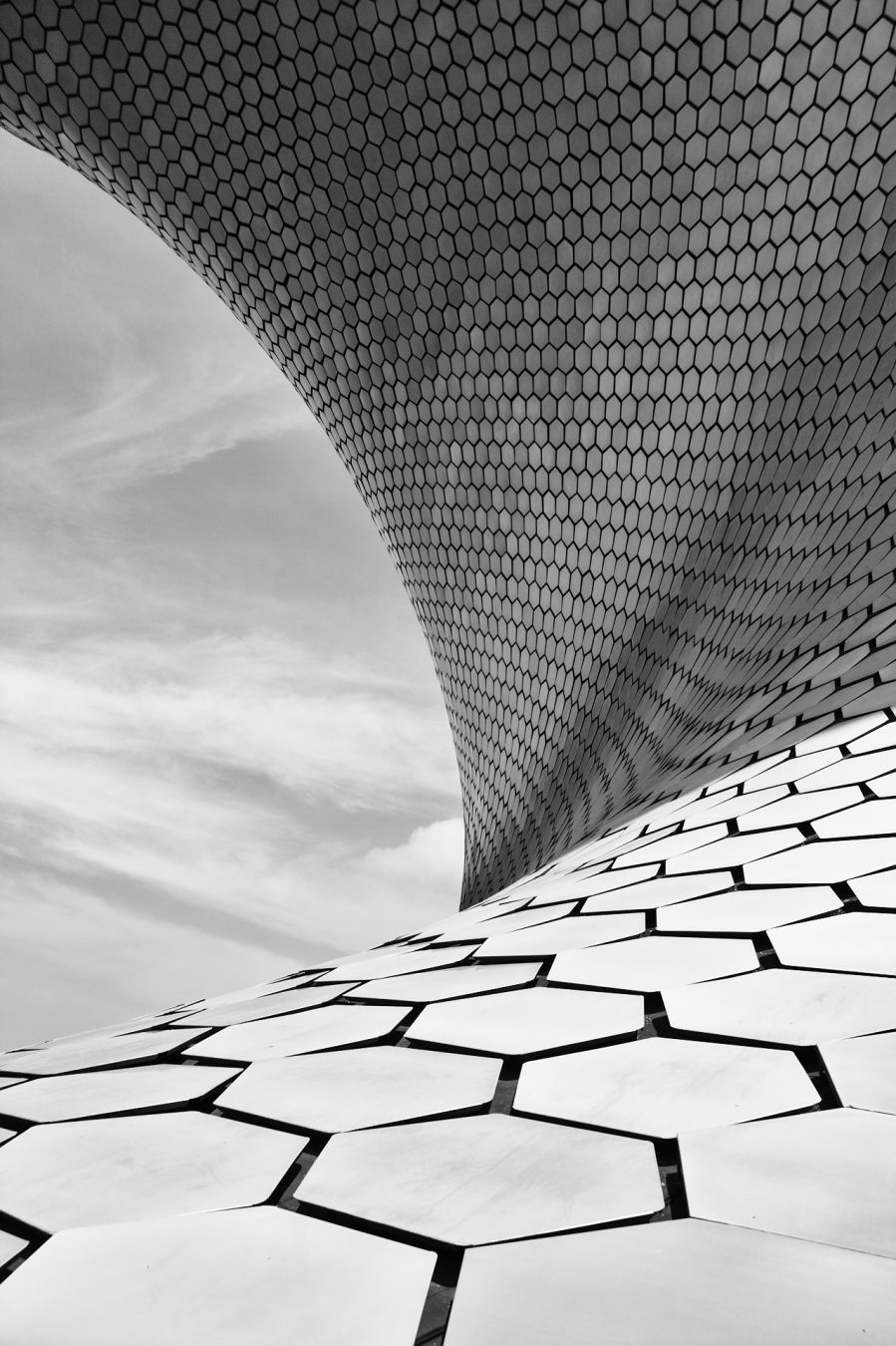 Lateral del Museo Soumaya.