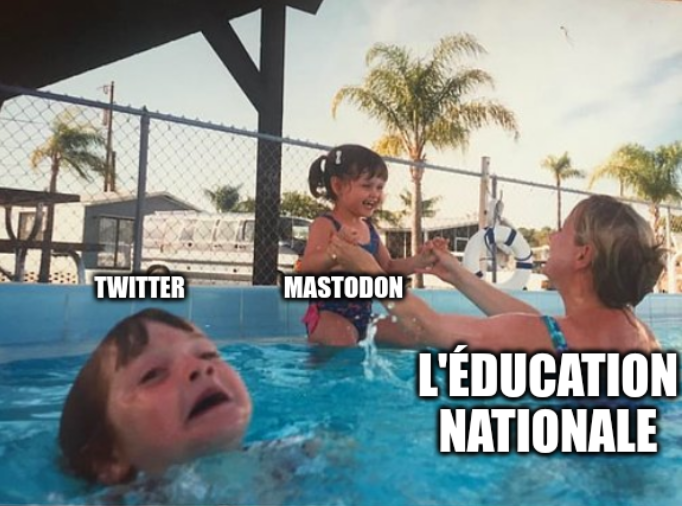 Mème classique où, dans une piscine, on voit une maman "Éducation nationale" s'occuper de sa fille "Mastodon" pendant que son fils "Twitter" est en train de se noyer.